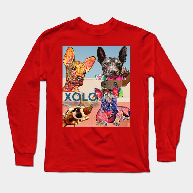 XOLO Darlings (Mexican hairless dogs)  5 puppies Long Sleeve T-Shirt by PersianFMts